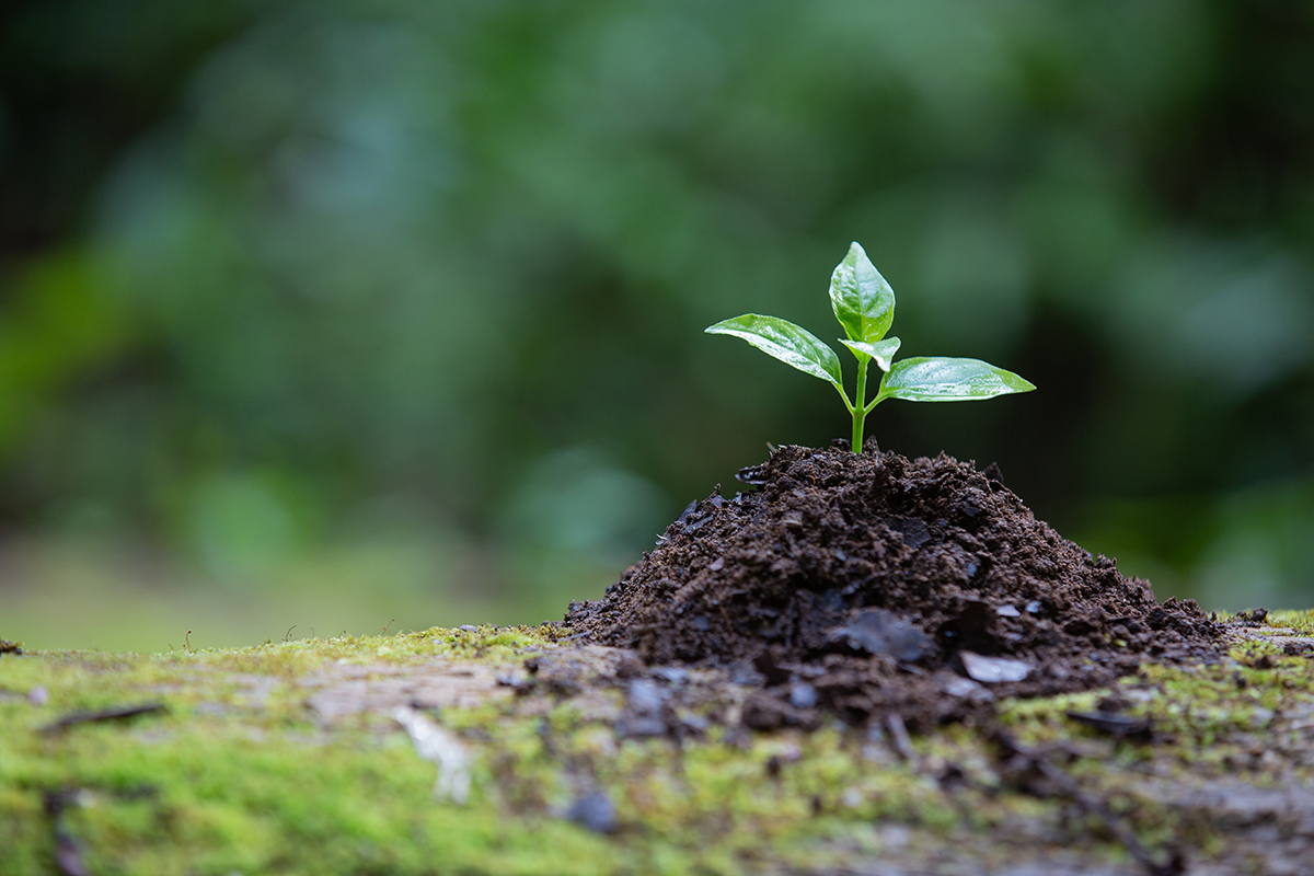 Die Zukunft der Umwelt ist jetzt