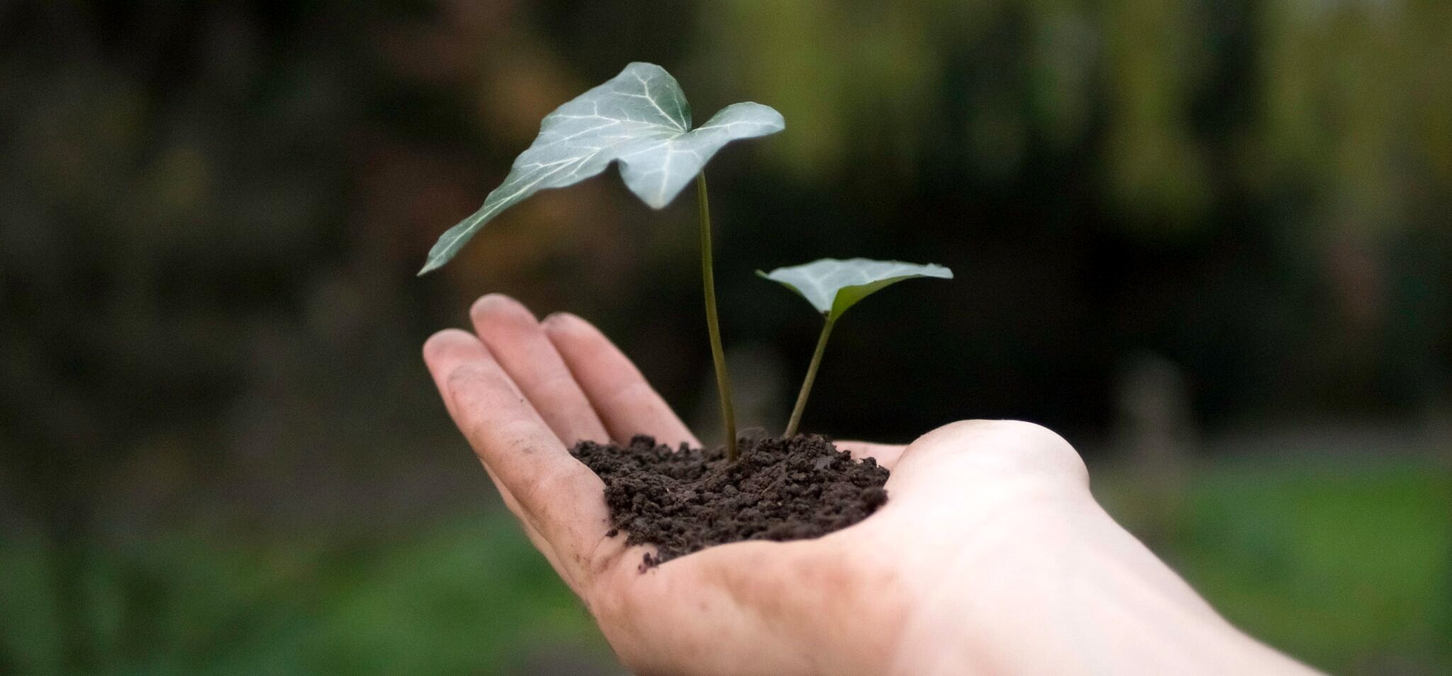 Gemeinsam für eine nachhaltige Zukunft: Engagement für Gesellschaft und Umwelt